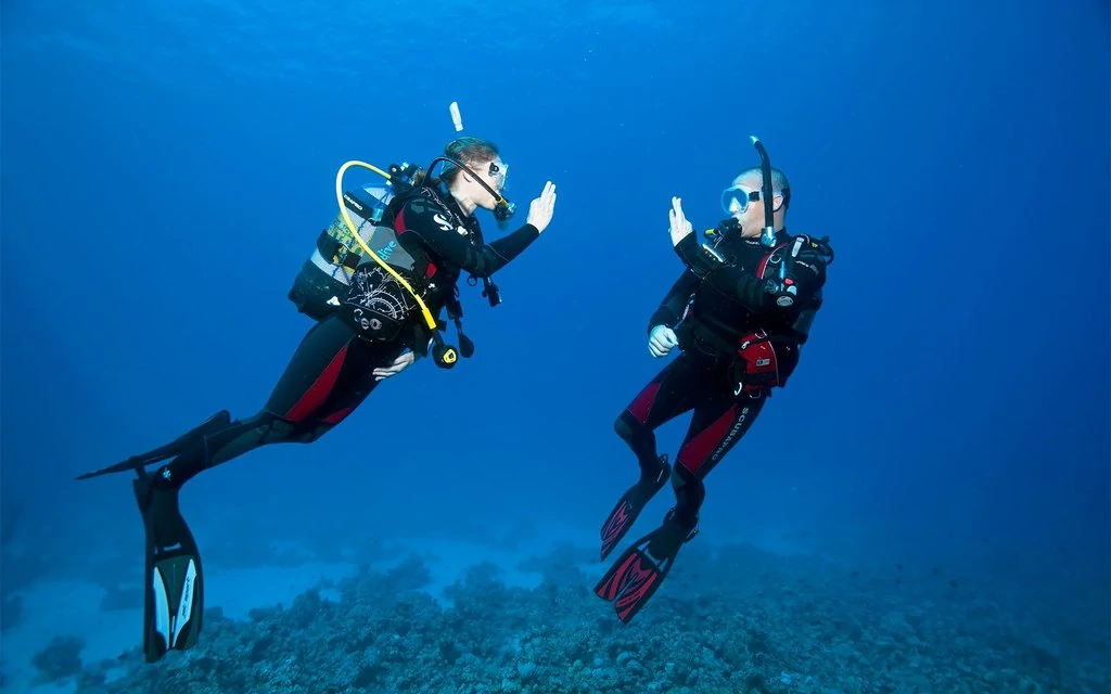 Hammerhead shark diving Cocos Island for Advanced Divers