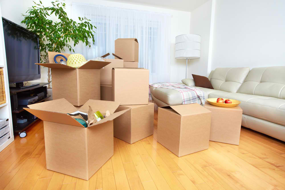 How a Packaging company Illinois Supports Product Growth and Innovation